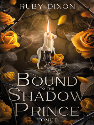 cover image of Bound to the shadow prince